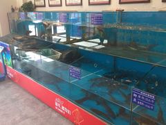 -老关东铁锅炖(上游街店)
