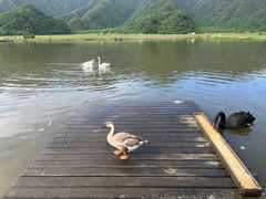 -大九湖