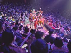 -珠海横琴长隆《卡卡虎奇遇记》