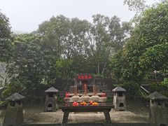 -海口火山口国家地质公园