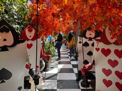 -The Grounds of Alexandria