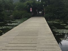 -白马涧龙池景区