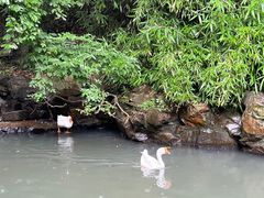 -兰亭风景区