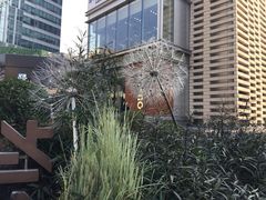 -中海环宇荟