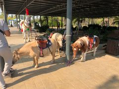 -渔岛海洋度假区