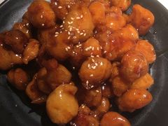 -佬肥猫(国华广场店)