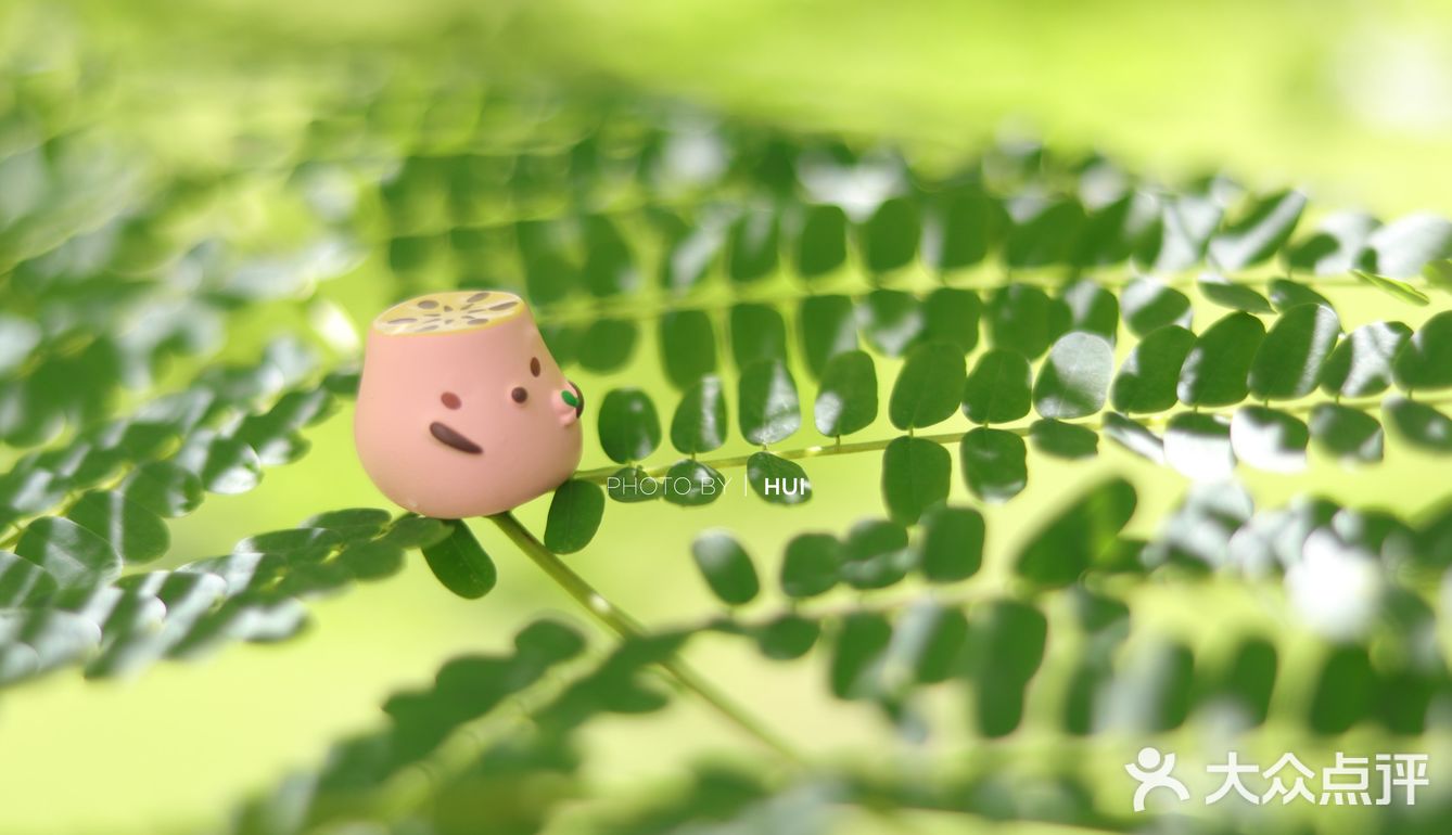 小暑，温风至