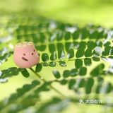 小暑，温风至