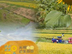-光明小镇欢乐田园