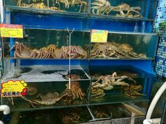 -蚝专家(北滘店)