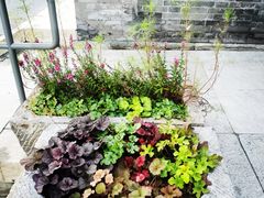 -挚友(东四二条)