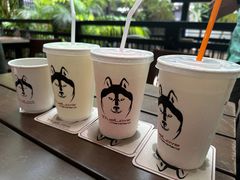 -TrueLove @ Neverland (Husky Cafe)