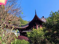-十八棵（老龙井）御茶园(老龙井店)