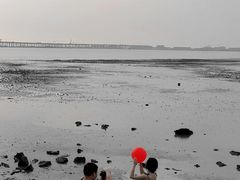 -宝安西湾红树林湿地公园