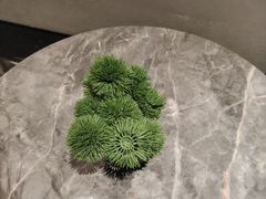 -漫·汤泉