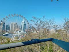 -富斯特索道