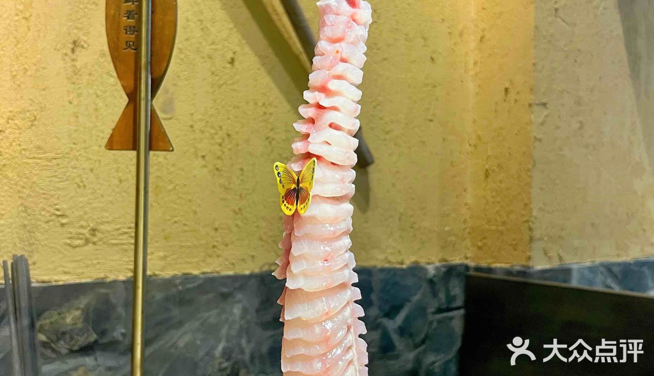 颜值高味道赞的蝴蝶🦋鱼