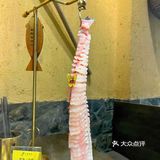 颜值高味道赞的蝴蝶🦋鱼