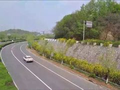 -狮麟驾校