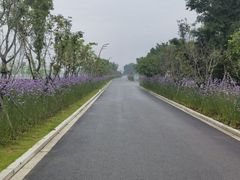 -三垟湿地