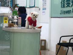 -佳雯宠物医院·皮肤科·内外科(春晓路分院)