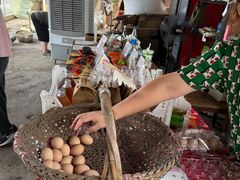 -马陆小张葡萄园农家乐