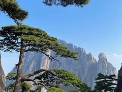 -黄山风景区