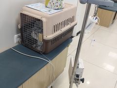 -美联众合动物医院·24h京西诊疗中心