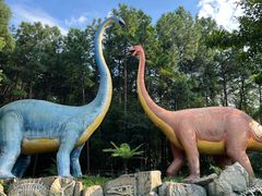 -佛冈森波拉度假区