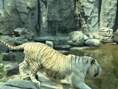 -北京野生动物园