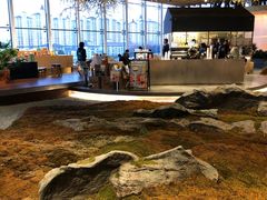 -Seesaw Coffee(朝阳大悦城店)