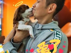 -家乐福(四元桥购物中心店)