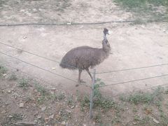 -石家庄市动物园