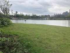 -眉山湿地公园(东坡区)