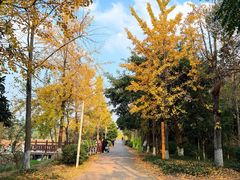 -白鹭湾湿地公园