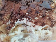 -PIZZA BIANCA(民园店)