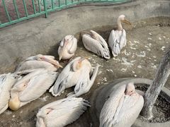 -水上乐园·欢乐世界