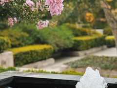 -太湖饭店玉兰厅(自助餐厅)