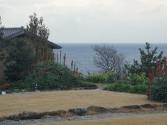 -滨千鸟之汤 海舟