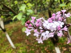 -白塘生态植物园