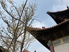 -高旻寺