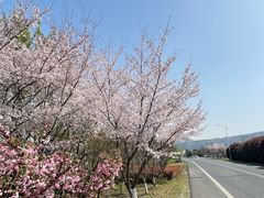 -东山风景区(洞庭东山)