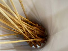 -董顺桃老长沙臭豆腐(融创店)