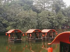 -侨美·唐荔园·40年地道粤菜