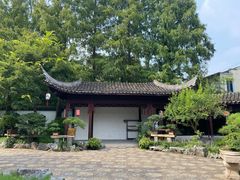 -上海醉白池公园