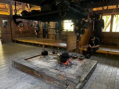 -西双版纳原始森林公园