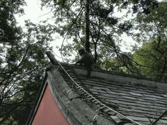 android_upload_pic-北京上方山国家森林公园