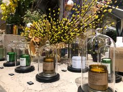 -PlantsEatery·植物食堂(REX春熙店)