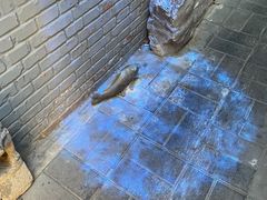 -后海16号·北京私房菜