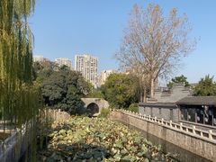 -水绘园